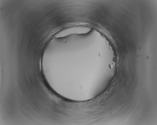 X0000067350013200604281453