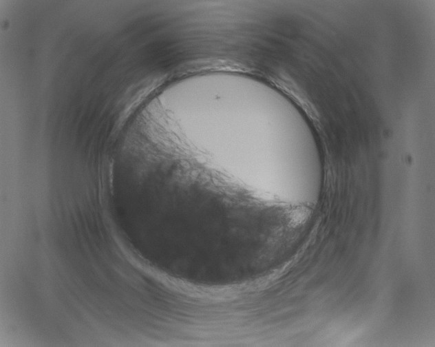 X0000067350014200604281453