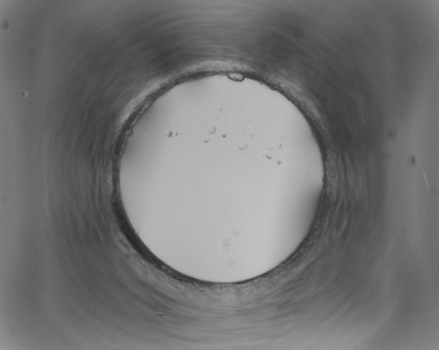 X0000067350015200604281453