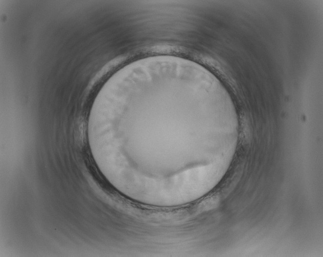 X0000067350016200604281453