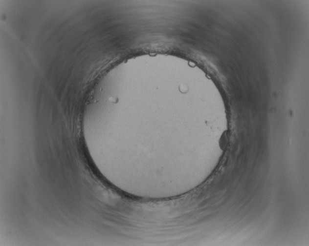 X0000067350017200604281453