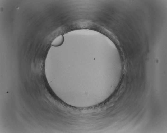 X0000067350018200604281453