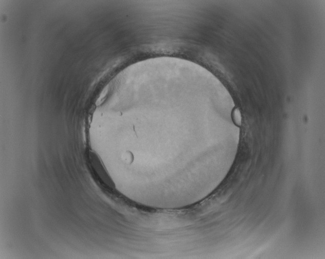 X0000067350020200604281453