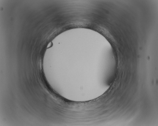 X0000067350021200604281453