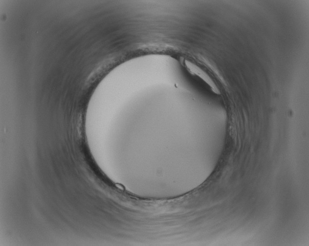 X0000067350023200604281453