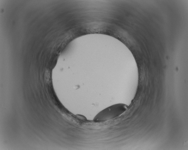 X0000067350025200604281453