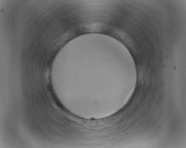 X0000067350026200604281453