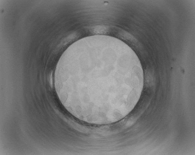 X0000067350028200604281453