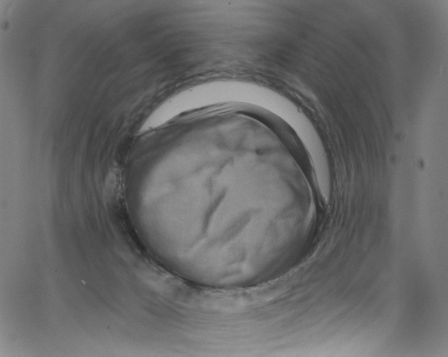 X0000067350029200604281453