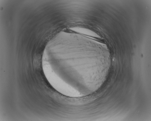 X0000067350030200604281453