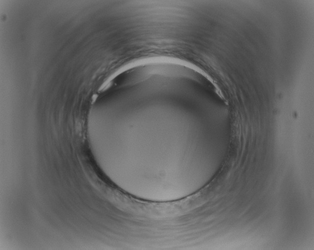 X0000067350031200604281453