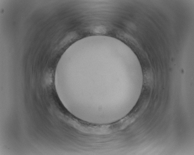 X0000067350032200604281453