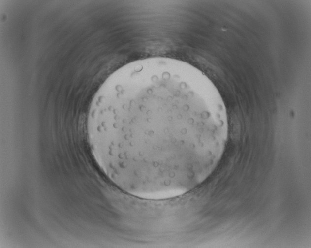 X0000067350034200604281453