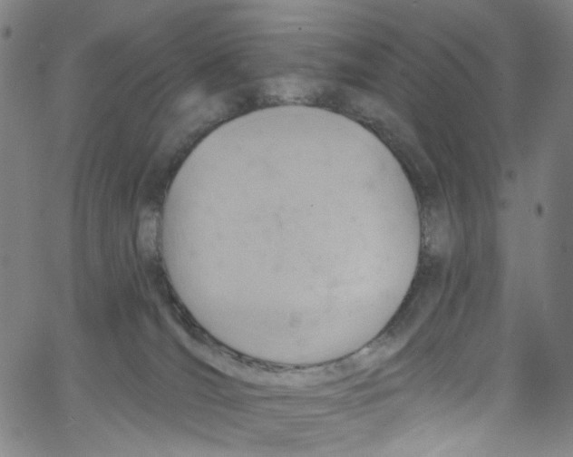 X0000067350036200604281453