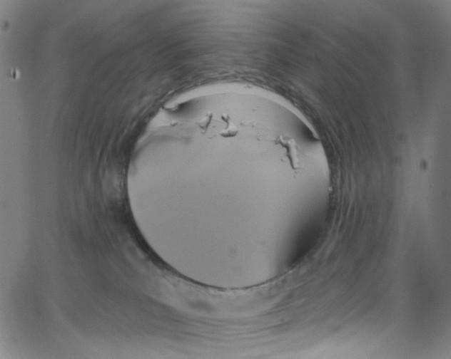 X0000067350039200604281453