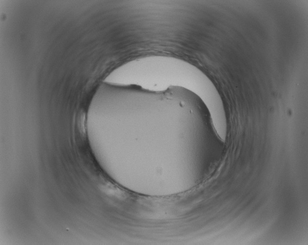 X0000067350041200604281453