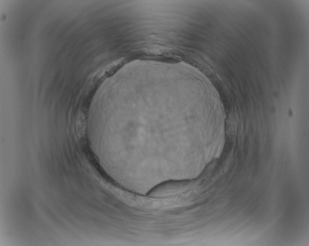 X0000067350043200604281453