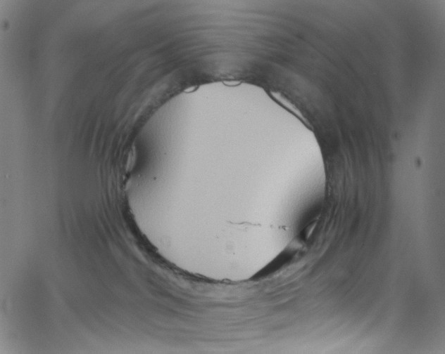 X0000067350044200604281453