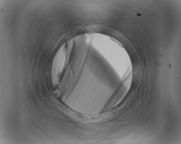 X0000067350046200604281453