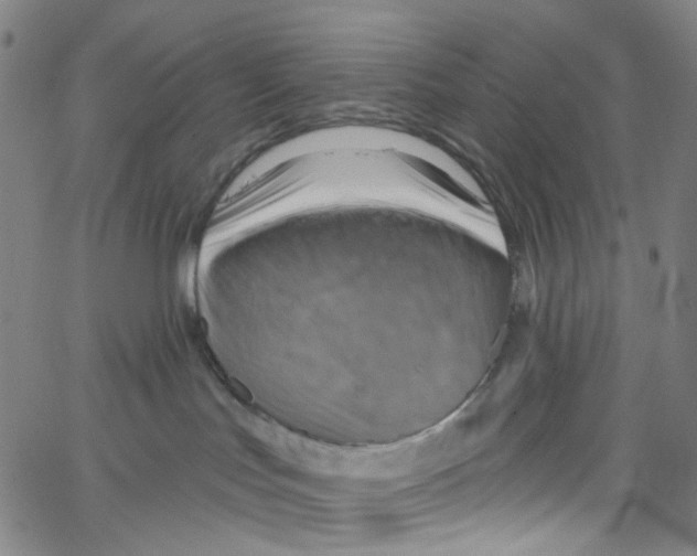 X0000067350047200604281453