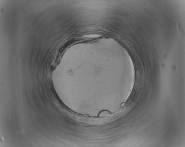 X0000067350048200604281453