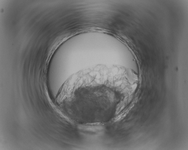 X0000067350049200604281452