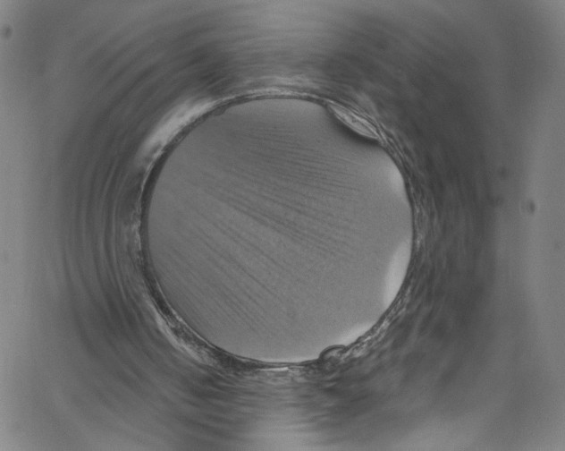 X0000067350050200604281452