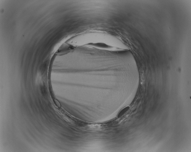 X0000067350052200604281452