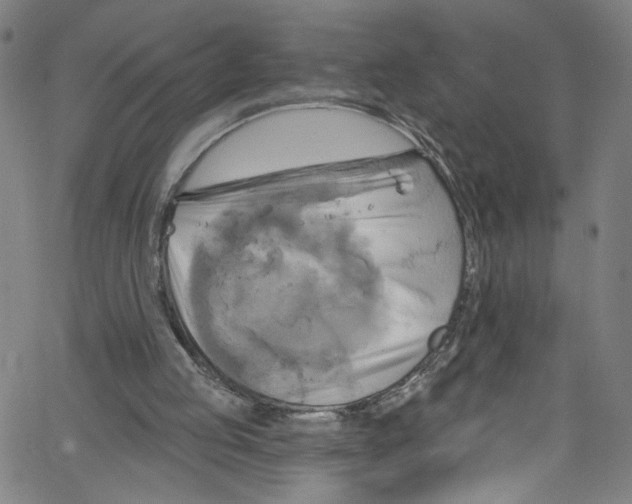 X0000067350053200604281452