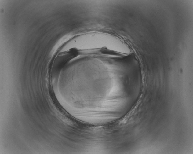 X0000067350054200604281452