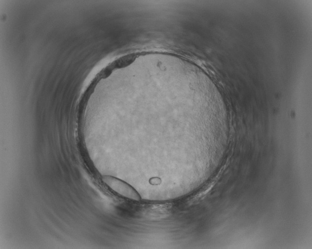 X0000067350056200604281452