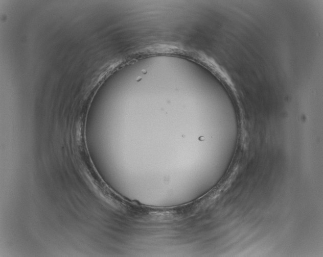 X0000067350057200604281452