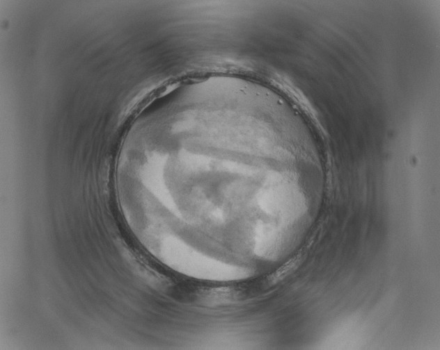 X0000067350058200604281452