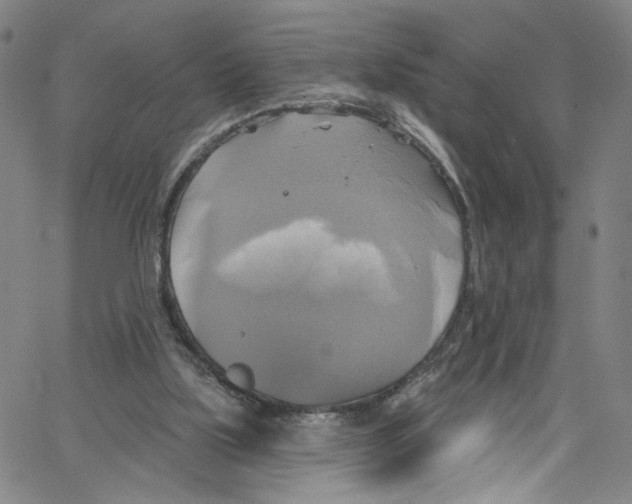 X0000067350059200604281452