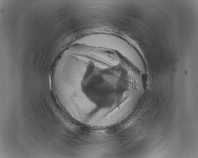 X0000067350061200604281452