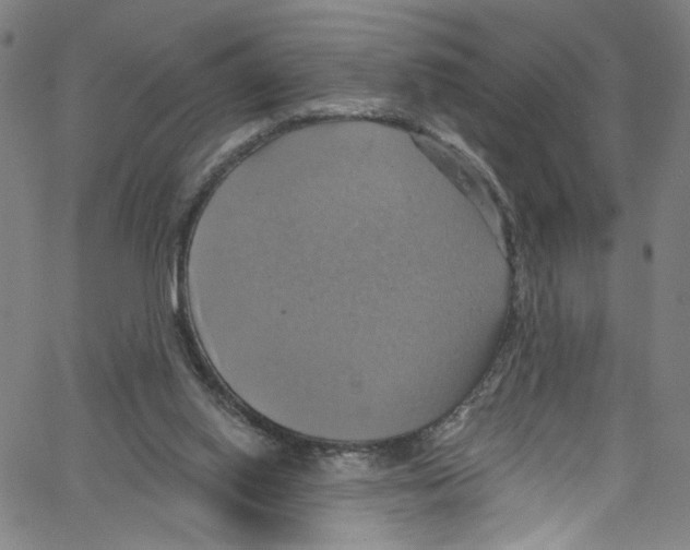 X0000067350062200604281452