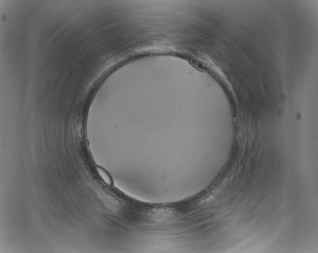 X0000067350063200604281452