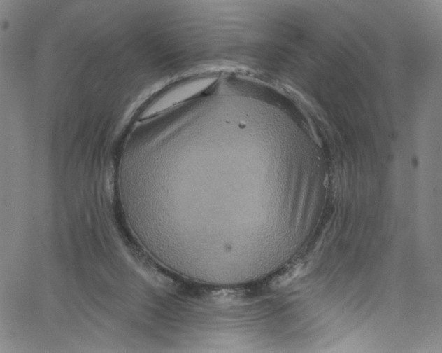 X0000067350064200604281452