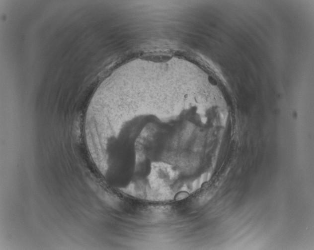 X0000067350065200604281452