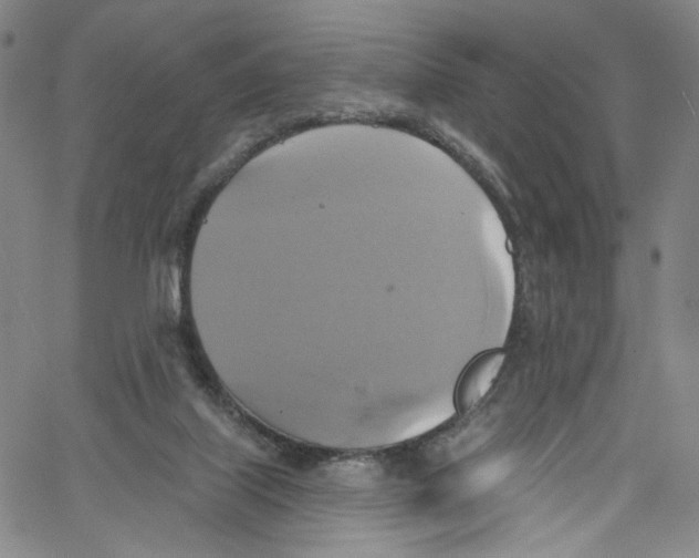 X0000067350067200604281452