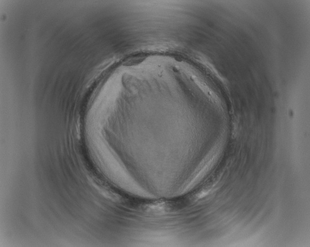 X0000067350068200604281452