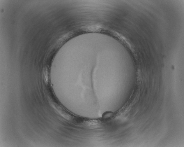 X0000067350069200604281452