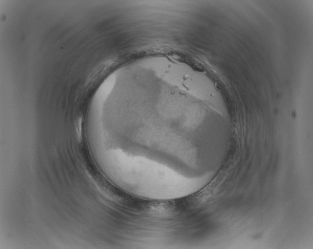 X0000067350070200604281452