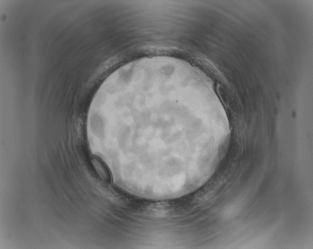 X0000067350071200604281452