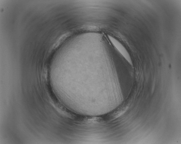 X0000067350072200604281452