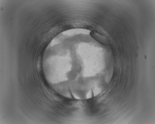 X0000067350074200604281452