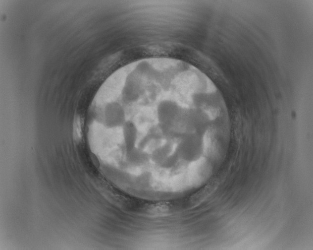 X0000067350075200604281452