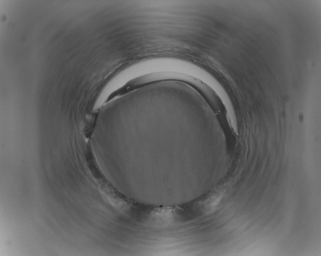 X0000067350076200604281452