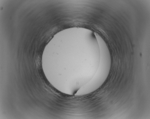 X0000067350077200604281453