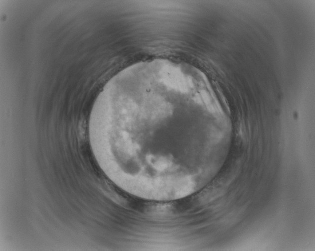 X0000067350081200604281453